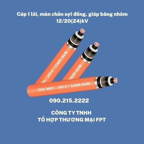 Cáp ngầm trung thế Hà Nội