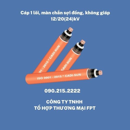 Cáp ngầm trung thế Hà Nội