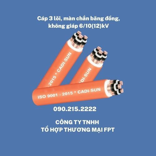 Cáp ngầm trung thế Hà Nội