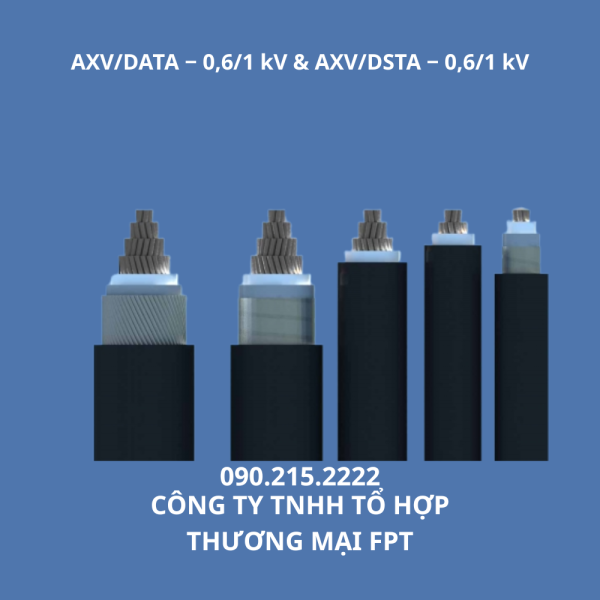 Cáp ngầm hạ thế Cadivi Hà Nội