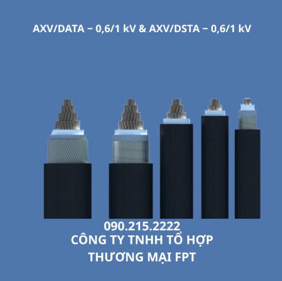 cung cấp dây điện Hà Nội