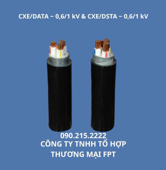 đại lý dây cáp điện goldcup Hải Phòng đại lý dây cáp điện goldcup Hải Phòng