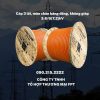 Cáp 3 lõi, màn chắn băng đồng, không giáp 3.6/6(7.2)kV