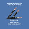 Cáp đồng 2 ruột bọc cách điện XLPE, vỏ bọc PVC - CXV 2x