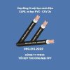 Cáp đồng 3 ruột bọc cách điện XLPE, vỏ bọc PVC - CXV 3x