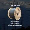 Cáp đồng 4 ruột, bọc cách điện XLPE, vỏ bọc PVC - CXV 3x+1x