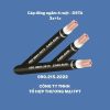 Cáp đồng ngầm 4 ruột - DSTA 3x+1x