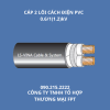 CÁP 2 LÕI CÁCH ĐIỆN PVC 0.6/1(1.2)kV