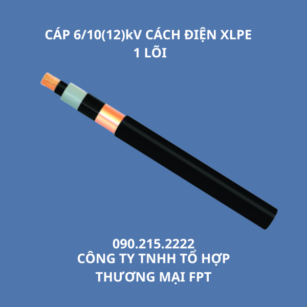 CÁP 6/10(12)kV CÁCH ĐIỆN XLPE 1 LÕI