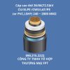 Cáp cao thế 36/66(72.5)kV CU/XLPE /CWS/LAT/PE (or PVC,LSHF) 240 ~ 2000 MM2