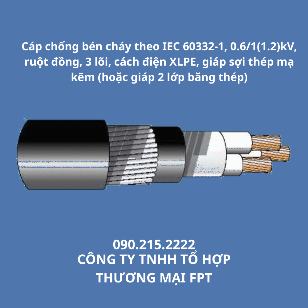 cap-chong-ben-chay-theo-iec-60332-1-0-6-11-2kv-ruot-dong-3-loi-cach-dien-xlpe-giap-soi-thep-ma-kem-hoac-giap-2-lop-bang-thep