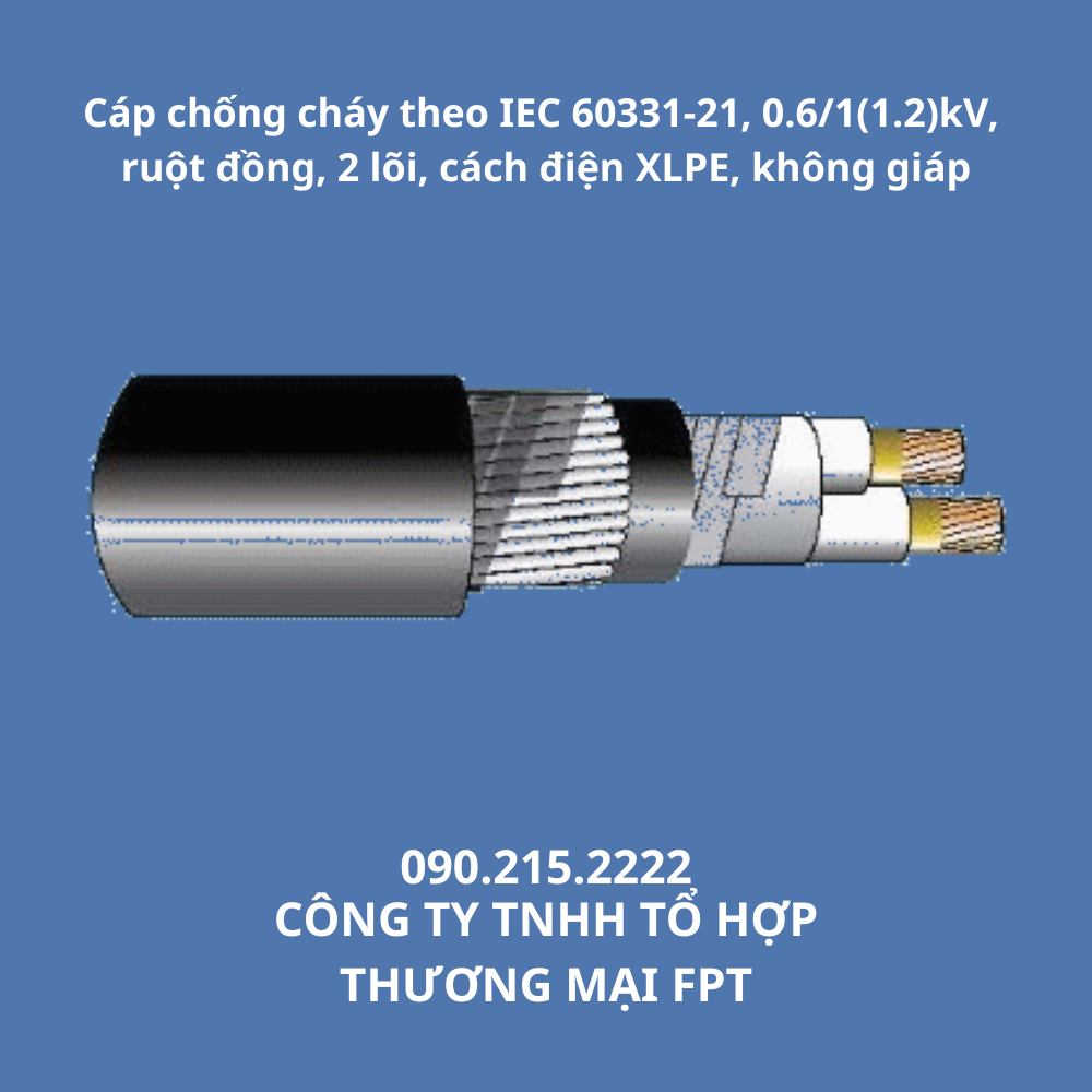 cap-chong-chay-theo-iec-60331-21-0-6-11-2kv-ruot-dong-2-loi-cach-dien-xlpe-khong-giap