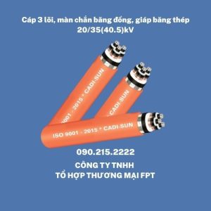 Báo giá cáp ngầm Cadisun Hà Nội