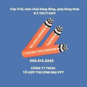 Cáp ngầm trung thế Hà Nội