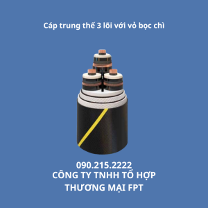 Cáp điện LS Vina Hà Nội