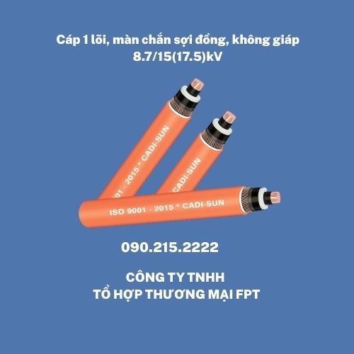 Cáp điện ngầm Hà Nội