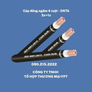 Cáp đồng Hà Nội