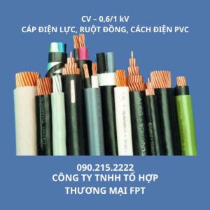 đại lý cadivi Hà Nội